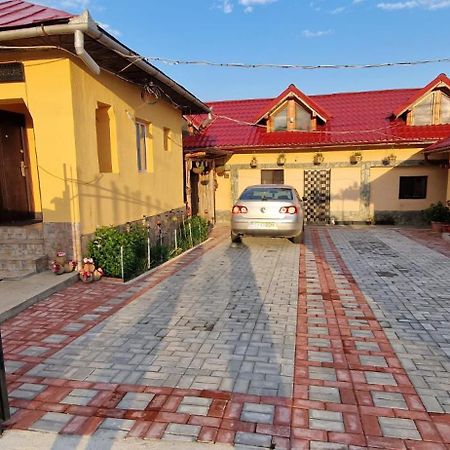 Casa Andreea Hotel Novaci-Străini Buitenkant foto