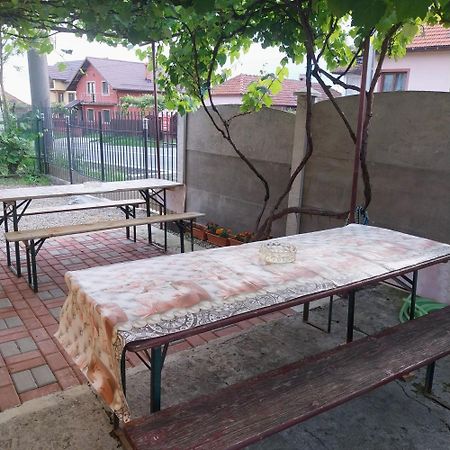 Casa Andreea Hotel Novaci-Străini Buitenkant foto