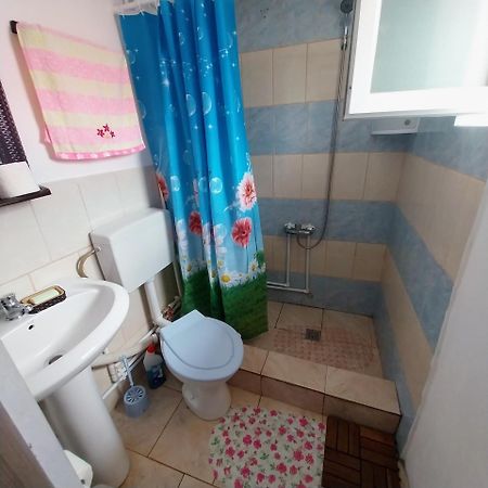 Casa Andreea Hotel Novaci-Străini Buitenkant foto