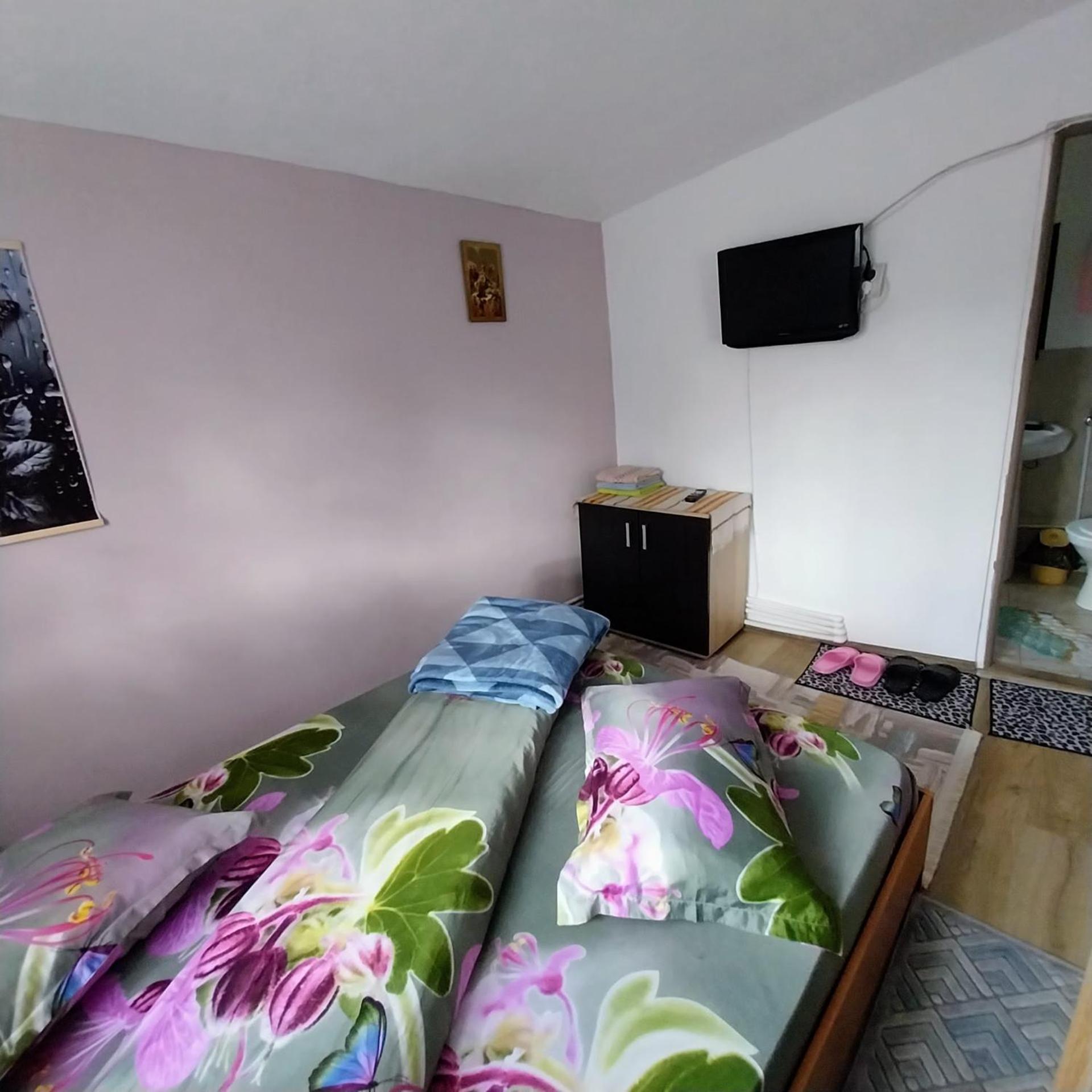Casa Andreea Hotel Novaci-Străini Buitenkant foto
