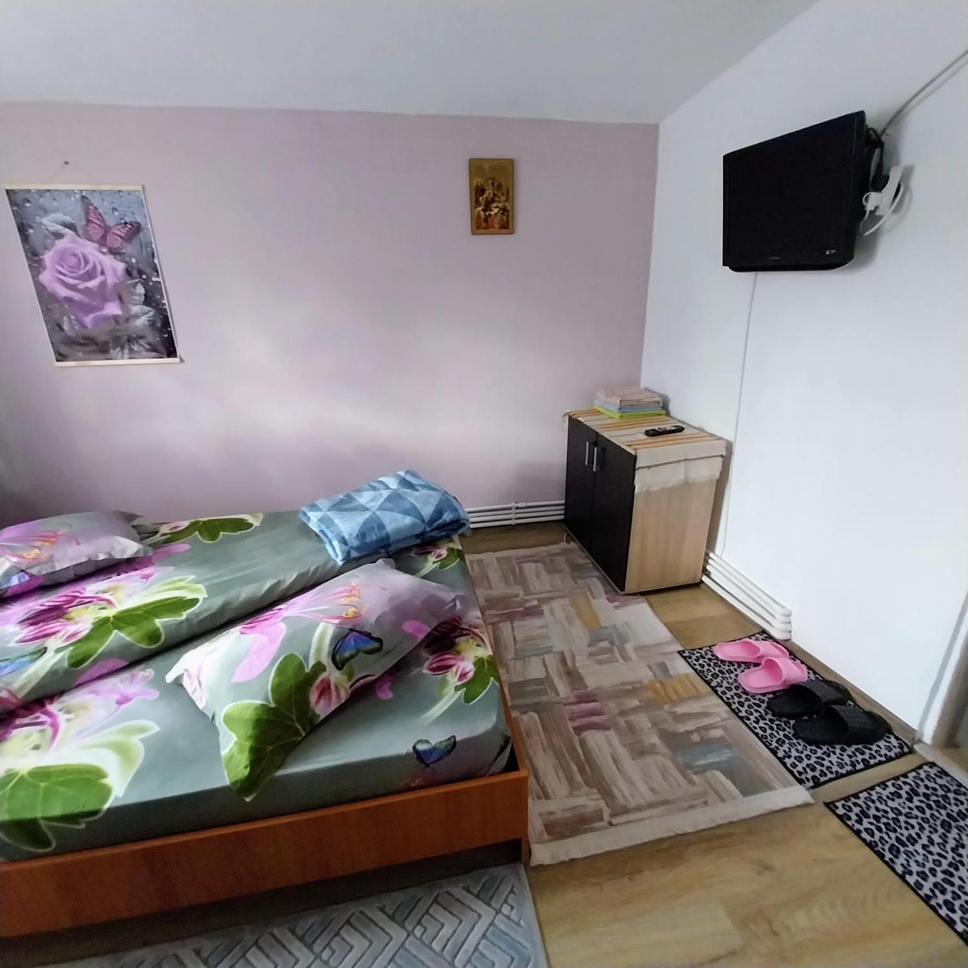 Casa Andreea Hotel Novaci-Străini Buitenkant foto