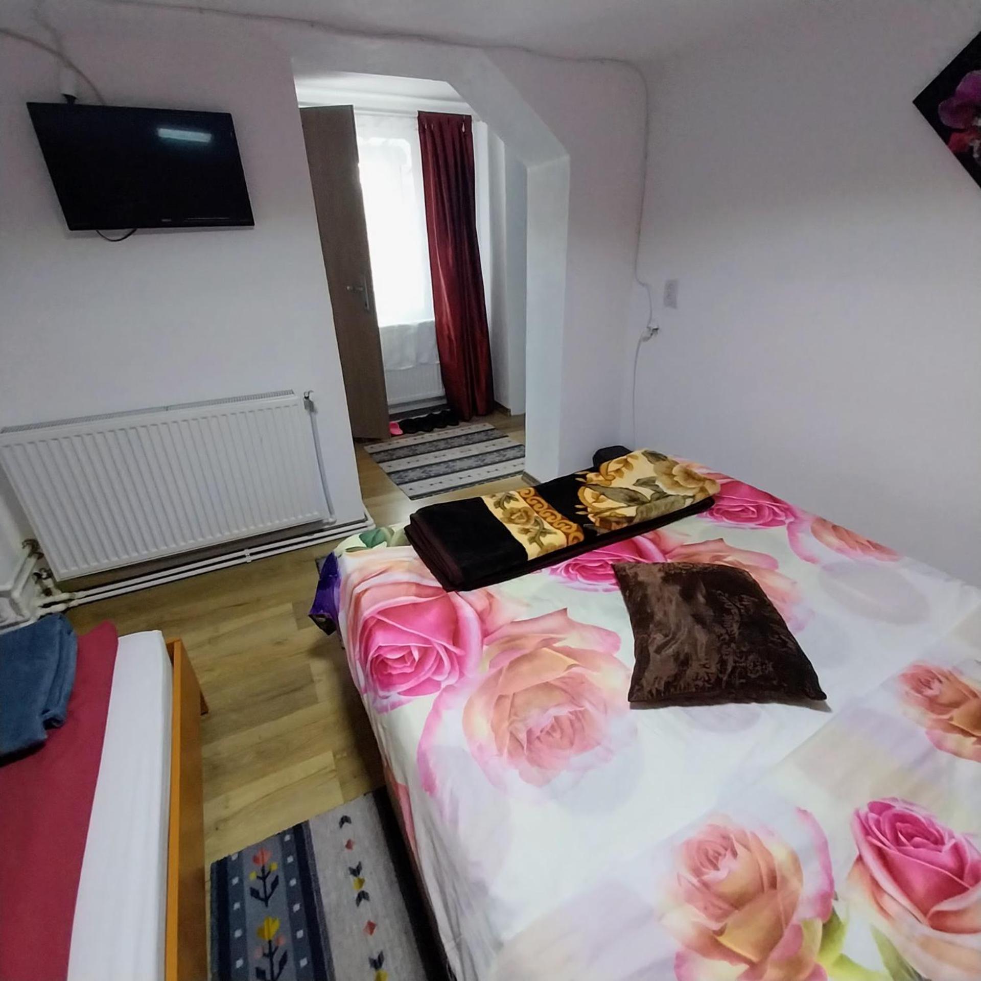 Casa Andreea Hotel Novaci-Străini Buitenkant foto