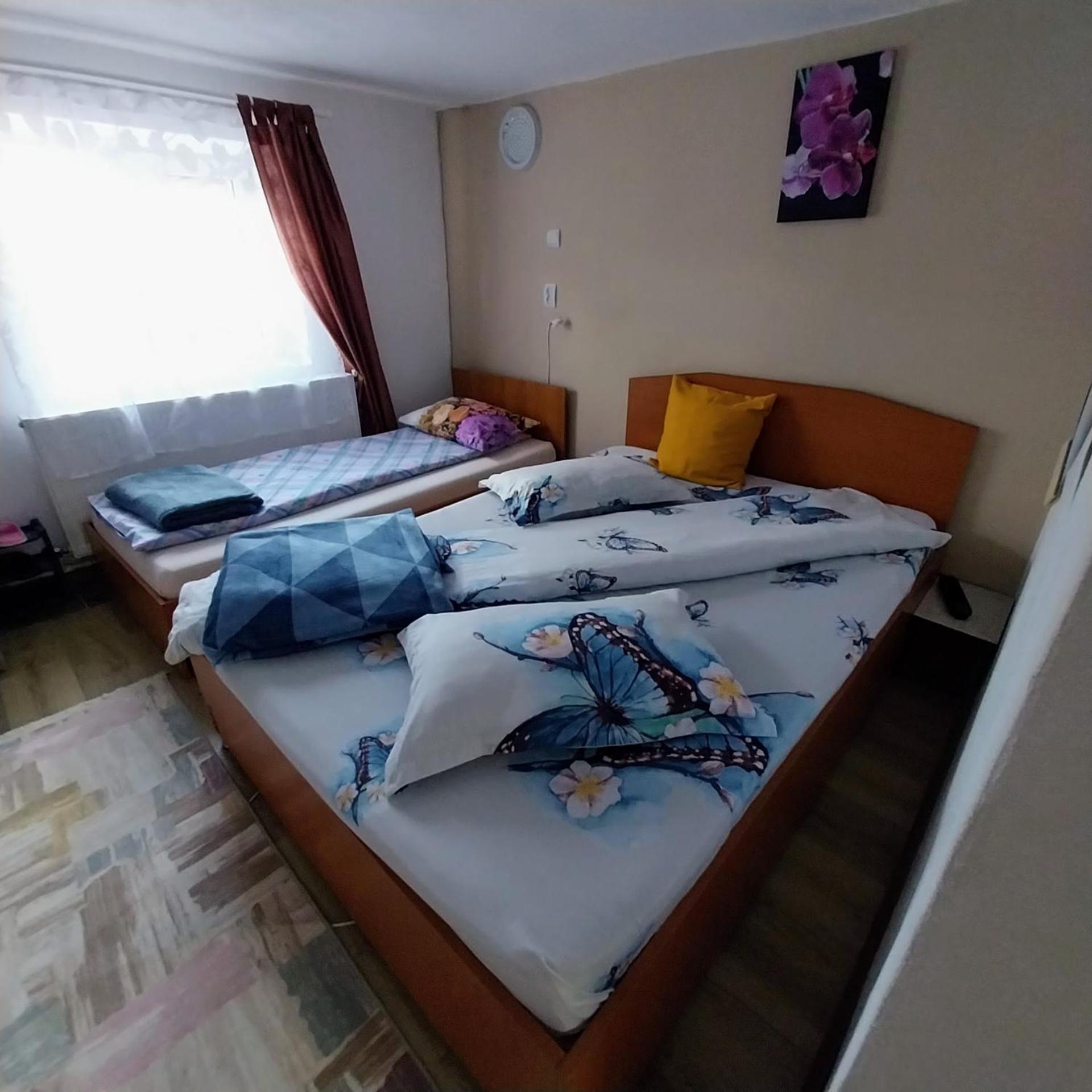 Casa Andreea Hotel Novaci-Străini Buitenkant foto